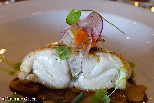 Monkfish