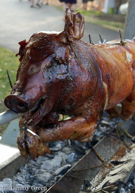 Roasted Pig
