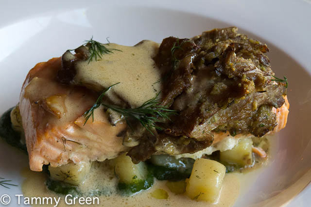 Salmon