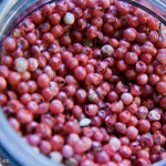 Pink Peppercorns Pink Peppercorns