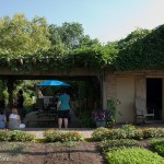 Rick Bayless | Grape Arbor
