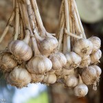 Rick Bayless | Hanging garlic