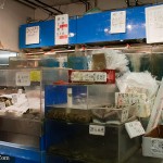 Fish Tanks | Mayflower Grocery