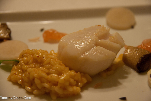 Scallop and Galangal Scallop and Galangal