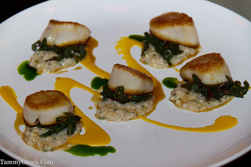 Sea Scallop Sea Scallop