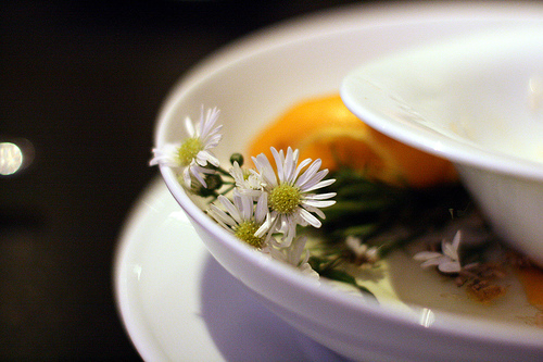Chamomile at Alinea Chamomile at Alinea