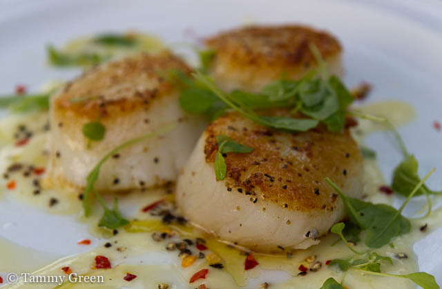 Scallops | Fish Bar Scallops | Fish Bar