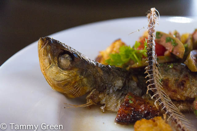 Sardines | Graham Elliot Bistro